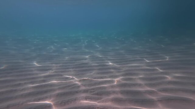 Shallow Seabed Pink Sand Ripples, Soft Sunlight Caustics Dancing Across Sand, Gentle Currents Forming Hypnotic