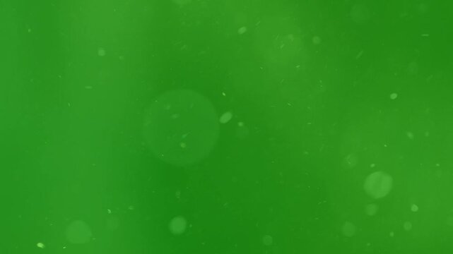 High Quality Slow Motion Floating Dust Motes and Bokeh Overlay
