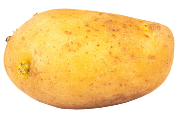 potatoes isolated on white background piece