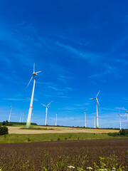 A vibrant and picturesque landscape featuring wind turbines standing tall against a clear blue sky, showcasing the beauty of nature and the harmony between technology and the rural environment