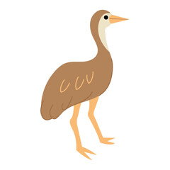 Obraz premium Illustration of a Brown Sarus Crane. White background, isolate