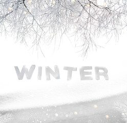 Blurred abstract silver Christmas background. Winter frame design. branch. outdoor. The word winter is made of ice.