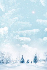 Soft winter New Year's background. Snow in the forest. Landscape. Frost-covered trees. Vertical.