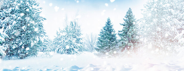 Winter Christmas Landscape with snowy Trees. beautiful winter forest.