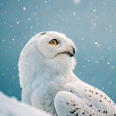 a charming snowy owl with striking golden eye