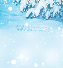 Forest. Ice letters. The word winter on the snow. Pine branch. Tree covered in frost. New Year's card.