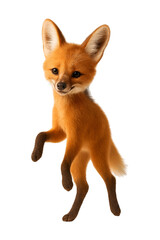 Naklejka premium A playful red fox cub standing on its hind legs with one paw raised isolated on transparent background