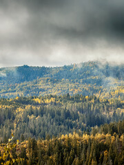 Sunny Autumn Carpathians with Puffy White Clouds