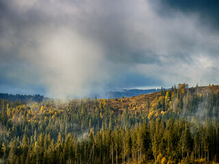 Sunny Autumn Carpathians with Puffy White Clouds