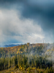 Sunny Autumn Carpathians with Puffy White Clouds