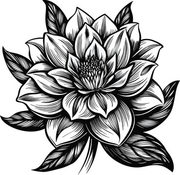 vintage, vantablack, sketch, realistic, tattoo, abstract