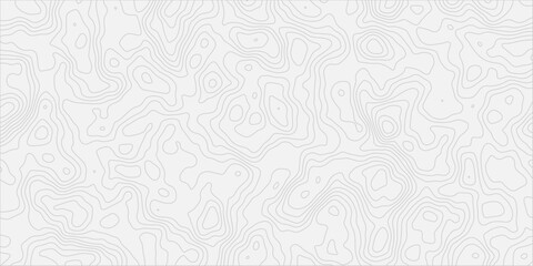 MINIMAL TOPOGRAPHIC GRID MAP DESIGN
WITH BLACK LINE DRAWING ON WHITE BACKGROUND