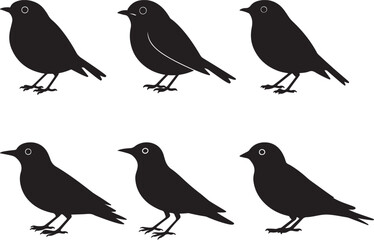 Songbird silhouette vector set of six small standing bird icons on white