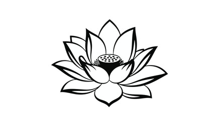 Fototapeta premium Elegant black and white illustration of a blooming lotus flower