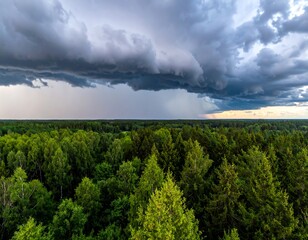 Dark storm clouds hovering over a vast, vibrant green forest canopy