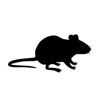 Rat or mouse icon. Flat vector illustration design isolated on white background.