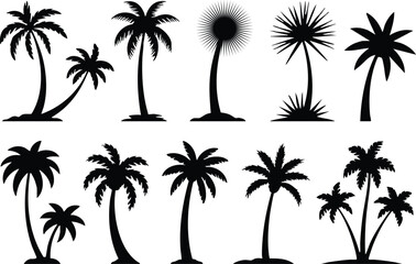 Set of Tropical Palm Tree Silhouettes, Island Beach Tree Outlines, Ten Different Palm Tree Shapes, Vector Silhouettes of Coconut and Other Palm Trees, silhouette, illustration, vector