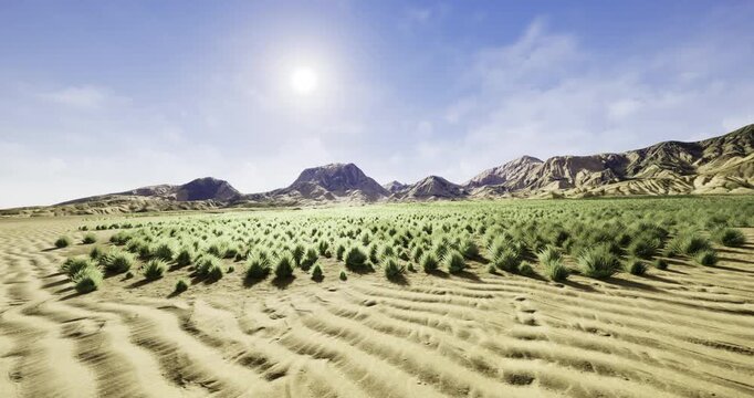 In an expansive desert, a vibrant patch of green foliage contrasts with sandy terrain under a bright sun. Mountains rise majestically in the background, creating a stunning panorama.