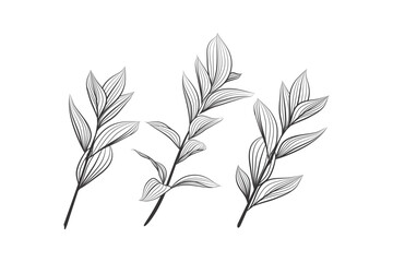 Line art leaf illustration vector on white background