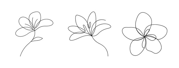 Fototapeta premium Minimalist continuous line drawing of flowers, elegant floral vector set of 3 blossoms, simple black ink outline botanical illustrations for wedding stationery