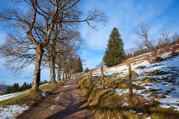 walkway up to Schliersberg, hiking trail from tourist resort Schliersee, winter season