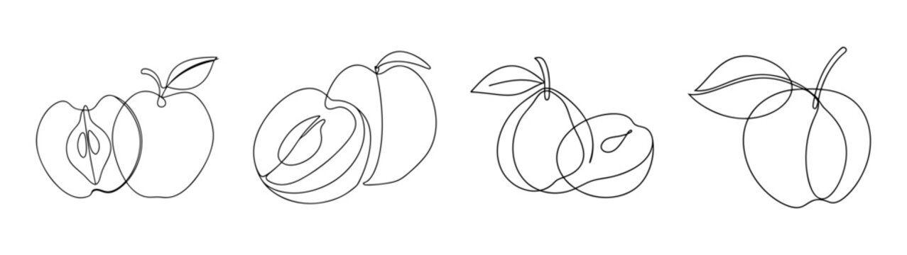 Collection of white sapote fruits hand drawn sketch style art