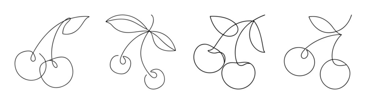 Fresh yumberry fruit bunches line art drawing freshness and simplicity