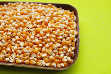 Dry yellow corn seeds ready to be made into popcorn.