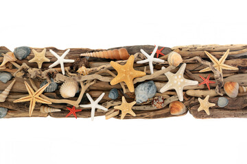 Seashell driftwood art rustic natural design background banner on white. Seaside shell and weathered wood natural design. Coastal decor decoration.