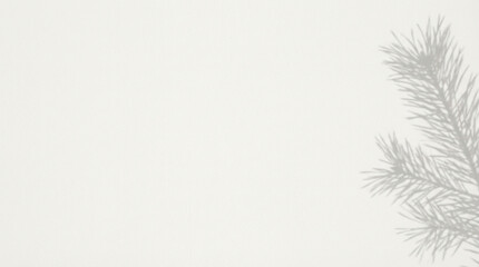 Minimal Pine Shadow Background with Copy Space　Soft Light White Christmas Background with Natural Branch Shadows