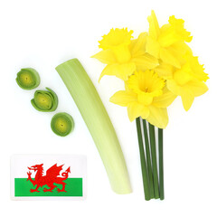 Welsh red dragon flag, not copyrighted, and symbols of Wales culture. Leek emblem, daffodil flowers for St Davids Day on white background. 