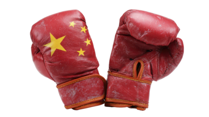 China Boxing Gloves