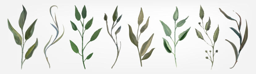 Watercolor green leaf plants set isolated on white background. Vector realistic illustration of delicate tree branches or flower stems with foliage, fresh organic greenery, mint leaves, spring garden