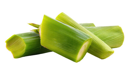 Fresh Corn Stalks on Isolated Background
