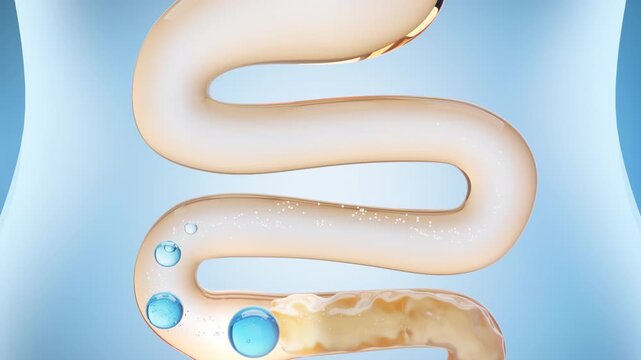 Medical concepts on human anatomy to reduce intestinal obstruction from fat through detoxification and good bacteria.