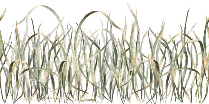 Seamless green grass border. Isolated watercolor illustration for interior design, eco-friendly websites, posters, and fabric printing.