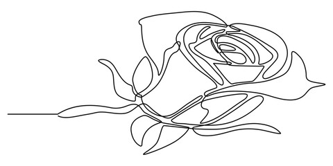 Continuous line drawing of rose flower. One line art concept of beautiful floral for love greeting. Vector illustration