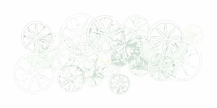 A delicate pattern of citrus slices and abstract green brushstrokes