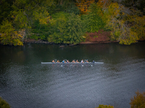 Aerial view of a rowing team slicing through the dark waters of the Charles River, framed by the autumnal hues of Boston's trees, Massachusetts, United States.