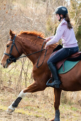 A young girl riding a chestnut horse in rural countryside.