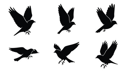 A collection of black silhouette birds in various flight poses