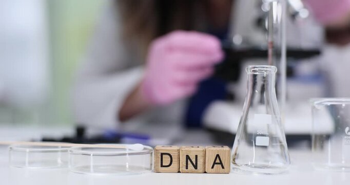 Wooden blocks on lab table spell word DNA near clear glassware. Scientist in pink gloves adjusts microscope focus studying genetic sample for police
