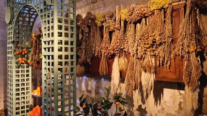 Maincy, France - December 11, 2025: An indoor orangery with scattered leaves on the floor, bunches of dried plants on the walls give a rustic autumnal feel inside the historic Vaux-le-Vicomte Chateau