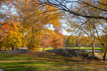 Paisaje de un parque p&uacute;blico en oto&ntilde;o en Nueva York, EEUU. Jardines de Central Park, al fondo Heckscher Fields, para practicar Softball y b&eacute;isbol. Noviembre 2019.