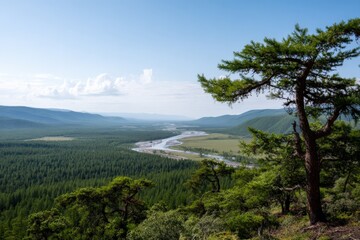 Scenic forest valley with river and mountains under clear sky
