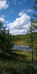 Tranquil forest landscape with reflective pond and blue sky
