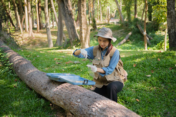 Female botanist researches grass and leaves in field to promote eco sustainability
