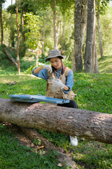 Female botanist studies leaves and grass outdoors in field for eco sustainability