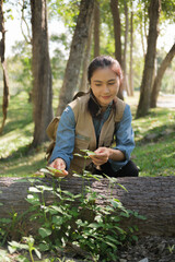 Female botanist observes plants and grass in field for eco agricultural research