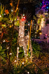 Various outdoor Christmas decorations, closeup
